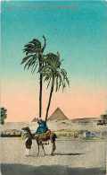 Egypte - Ref A259- Pyramides  -carte Bon Etat   - - Piramiden