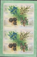 2013 Russland Mi. 1914-7 **MNH  Einheimische Flora: Nadelbäume - Unused Stamps