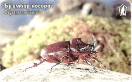 TARJETA DE BULGARIA DE UN ESCARABAJO  (INSECTO-INSECT) (rozada) - Sonstige & Ohne Zuordnung