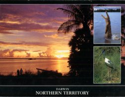 (546) Australia - NT - With Crocodile Et Jabiru Bird + Sunset - Darwin