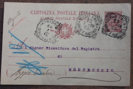 ITALIA REGNO. CARTOLINA POSTALE ITALIANA VIAGGIATA DA REGGIO EMILIA A MONTECCHIO (RE). 1906 - Ganzsachen