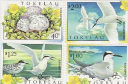 Tokelau-1999 Black Naped Tern 278-281 MNH - Tokelau