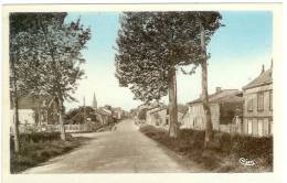 82 - MONTECH - Ave De Montauban - Trés Bon état - CIM - Montech