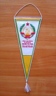 1960s Lithuania Physical Education And Sport Committee Pennant - Autres & Non Classés