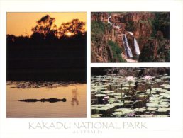(050) Australia - NT - Kakadu With Crocodile - Kakadu