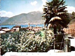 SUISSE TICINO VIRA GAMBAROGNO N1970  EF43 - Gambarogno