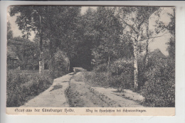 3043 SCHNEVERDINGEN - HANSAHLEN, Weg In Hansahlen, 1912 - Schneverdingen
