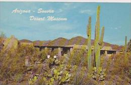 Arizona Sonora Desert Museum - Autres & Non Classés