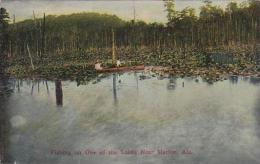 Alabama Marion Fishing On One Of The Lakes Near Marion - Altri & Non Classificati