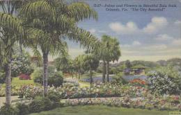 Florida Orlando Palms And Flowers In Beautiful Eola Park The City Beautiful - Orlando