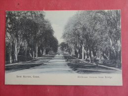 New Haven,CT--HIllhouse Avenue From Bridge--cancel 1905--PJ 133 - New Haven