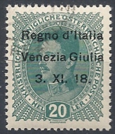 1918 VENEZIA GIULIA USATO 20 H - RR11843 - Venezia Giuliana