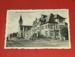 HERSEAUX -  Rue Du Petit-Audenarde - Mouscron - Moeskroen