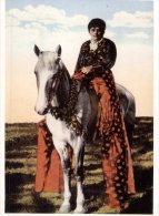 (409) USA - Hawaii Reproduction Postcard - Hawaiian Girl On Horse - Honolulu