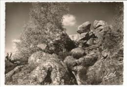 91 - Forêt De FONTAINEBLEAU - Environs De MILLY (S.-et-O.) - Les Rochers - Ed. Estel N° 47033 - Milly La Foret