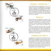 Feuillet Poste FDC 2543 à 2546 Avion Aviation Hanriot-Dupont Spad Schreck Stampe-Vertrongen Hasselt 1 - 1991-2000