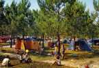 Landes - Camping  Jeux - Enfants - Tentes -  Dans Les Landes - Camping Sous Les Pins  -  IRIS - Aquitaine