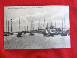 Bahamas  Sponges Vessels  In Nassau Harbour  Nassau  Crease    Ca 1910 Not Mailed     Ref 1016 - Bahamas