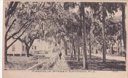 Florida Daytona Magnolia Street 1908 - Daytona
