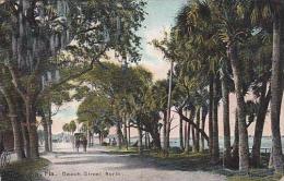 Florida Daytona Beach Street North 1909 - Daytona