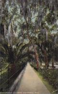Florida Daytona Ridgewood Avenue 1912 - Daytona