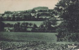 Cp , 85 , POUZAUGES , Le Bois De La Folie Qui Bien Que Tres éloigné De La Mer, Sert D'amer Aux Navigateurs - Pouzauges