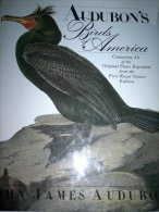 AUDUBON'S BIRDS OF AMERICA - Cultura