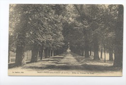 Saint-Brice-sous-Forêt. Allée Du Chateau Du Luat. - Saint-Brice-sous-Forêt