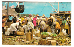 Antilles - Sainte Lucie - Busy Wharf Scene. Coast Boat Landing Fruit And Vegetables At Castries St Lucia - Sainte-Lucie