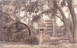 Florida Clearwater Eagles Nest Gardens 1942 Real Photo - Clearwater