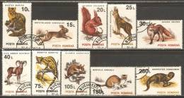 Romania 1993 Mi# 4901-4910 X Used - No Wmk. - Animals - Used Stamps