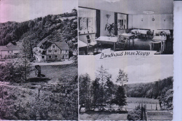 5220 WALDBRÖL - VIERBUCHERMÜHLE, Pension-Landhaus Max Kapp, 1961 - Waldbroel