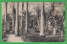 ISMAÏLIA - LES JARDINS PUBLICS - Carte De 1900/1910 - Ismaïlia