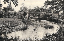 SAINT ANDRE LE GAZ  Le Pont NAPOLEON Neuve  TTB - Saint-André-le-Gaz