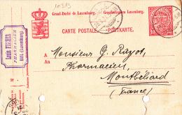 10313# LUXEMBOURG ENTIER CARTE POSTALE ARMOIRIES Obl KAYL 1921 PHARMACIE Pour MONTBELIARD DOUBS - Postwaardestukken