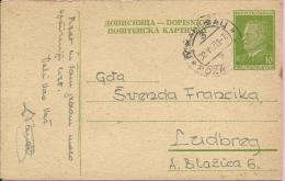 Carte Postale - Požarevac, 30.6.1953., Yugoslavia - Lettres & Documents