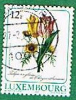 LUSSEMBURGO (LUXEMBOURG)   - SG 1221 -   1988 FLOWERS:    -   USED - Usati