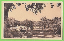 MALI / BAMAKO / LE JARDIN ZOOLOGIQUE  .... / Carte Vierge - Mali