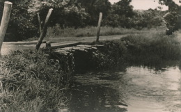 AFRIQUE - GUINÉE - CONAKRY - Pont De Brousse - Guinea