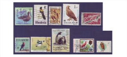 G225 / Aves / Oiseaux / Birds - Collections, Lots & Séries