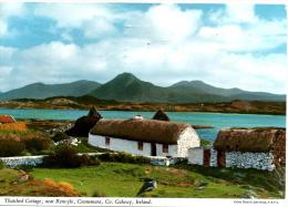 GALWAY , Cottage Près De Renvyle - Galway