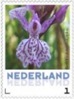 Nederland  2013-3  Ucollect  Orchideen 8 Gevrlekte Duin Orchis Postfris/mnh/neuf - Nuevos