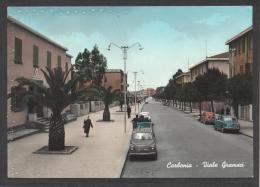 5249-CARBONIA(CARBONIA-IGLESIAS)-VIALE GRAMSCI-ANIMATA-FG - Carbonia