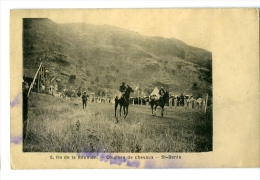 Ile De La Réunion  Courses De Chevaux  St Denis - Saint Denis