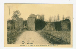 DORDIVES - Entrée Des Ruines Du Château De Metz Le Maréchal - Dordives