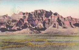 South Dakota Wall Ancient Architecture The Badlands National Monument Albertype - Sonstige & Ohne Zuordnung