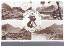 A Wee Scottie Frae  Glencoe ...........scotland Ecosse - Argyllshire