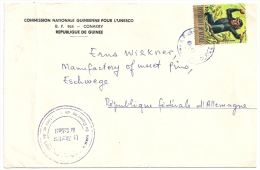 Luftpost Brief  Conakry Guinee - Eschwege  (Schimpansen Motiv)                1976 - Chimpanzés