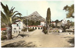 83 - La Valette - Le Coudon - Domaine Des Gueules Cassées - Cim "La Côte D'Azur Varoise" N° 3 (circulée 1962) - La Valette Du Var