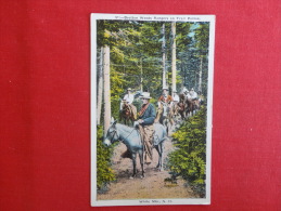 New Hampshire > White Mountains  Bretton Woods Rangers On Trail Ponies  Ca 1910 Not Mailed    --  Ref  1047 - White Mountains